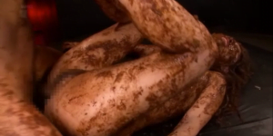 Thumbnail of post image 038