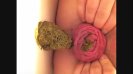 Thumbnail of post image 052