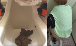 Thumbnail of post image 119